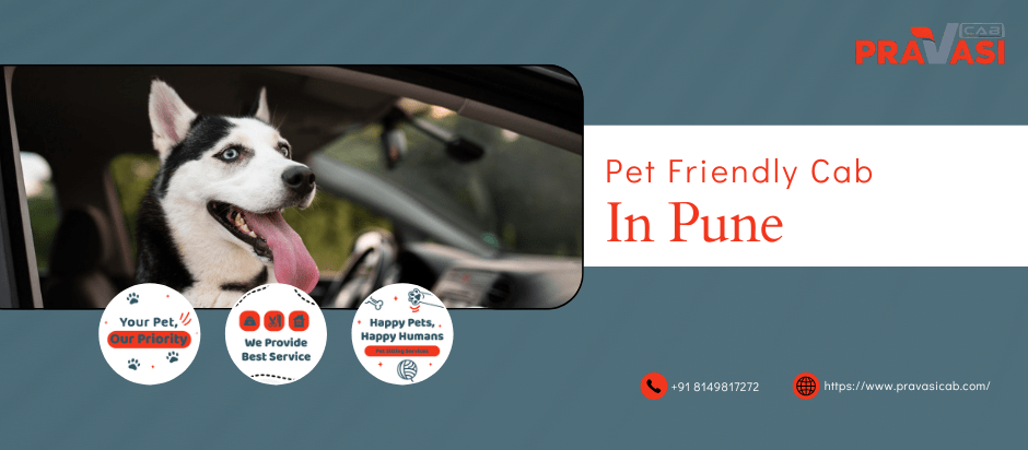 pet-friendly taxi in pune pravasi cab