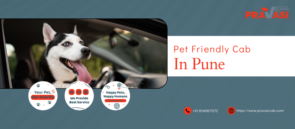 pet-taxi-pune