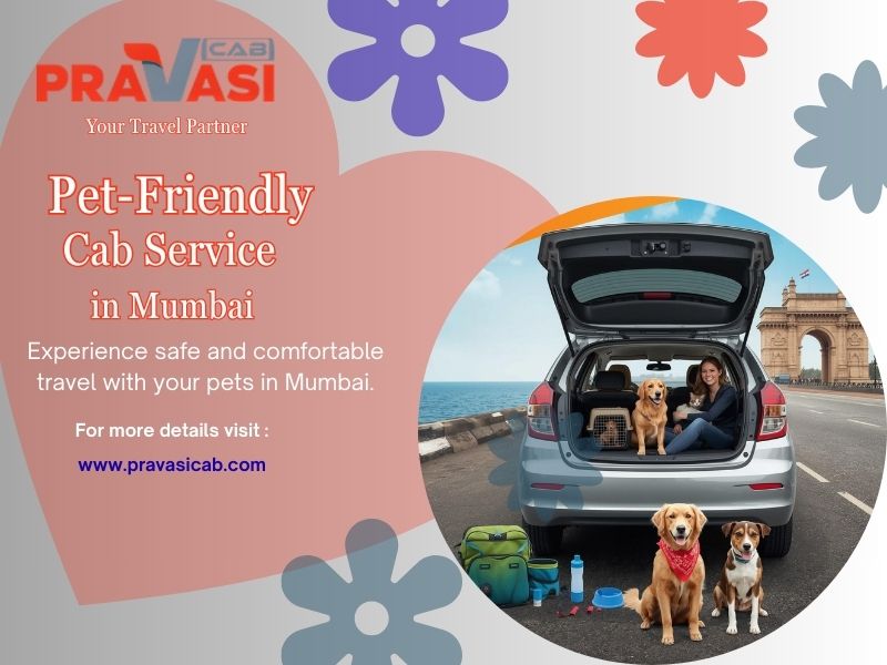 pet-friendly cab service in mumbai  pravasi cab